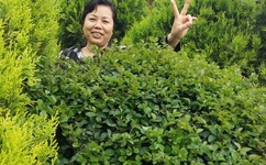 恋爱时代主题曲